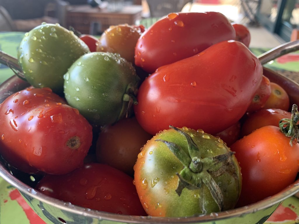 Wake up and smell the tomatoes. How to holiday like a local in Puglia - photo the Puglia Guys.