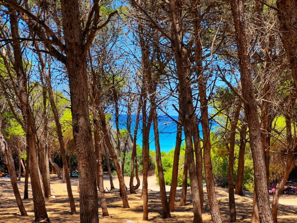 Punta della Suina, Gallipoli. One of Europe’s Top 40 beaches and voted Italy’s best gay and nudist beach | Photo © The Puglia Guys