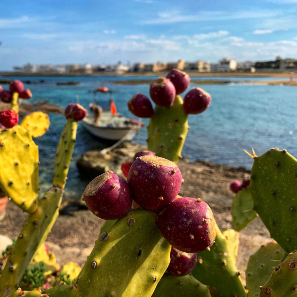 Torre Santa Sabina beach, Carovigno | Photo © the Puglia Guys for the Big Gay Podcast from Puglia guides to gay Puglia, Italy’s top gay summer destination | Puglia by beach guide to Puglia’s best beaches