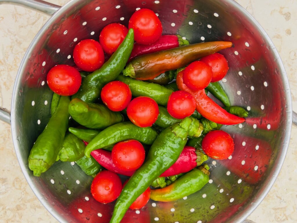 Eat Puglia. Friggitelli peppers from Puglia bought from the market are sensational when fried in extra virgin olive oil, or softly sautéed with fresh seasonal tomatoes. 