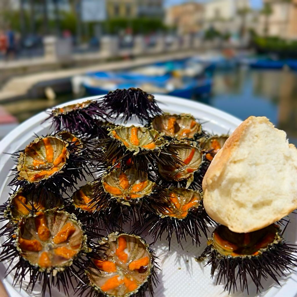 Ricci, crudo frutti di mare seafood | the Puglia Guys guides to Puglia’s best food and restaurants Photo © the Puglia Guys for the Big Gay Podcast from Puglia guides to gay Puglia, Italy’s top gay summer and destination. One of Italy’s best foodie destinations.