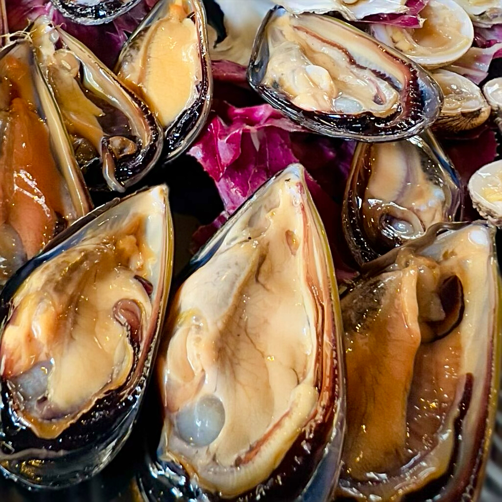 Super sweet cozza tarantina, the Taranto mussel Photo © the Puglia Guys for the Big Gay Podcast from Puglia guides to gay Puglia, Italy’s top gay summer and destination. One of Italy’s best foodie destinations.